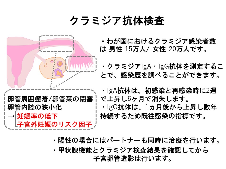 クラミジア抗体検査