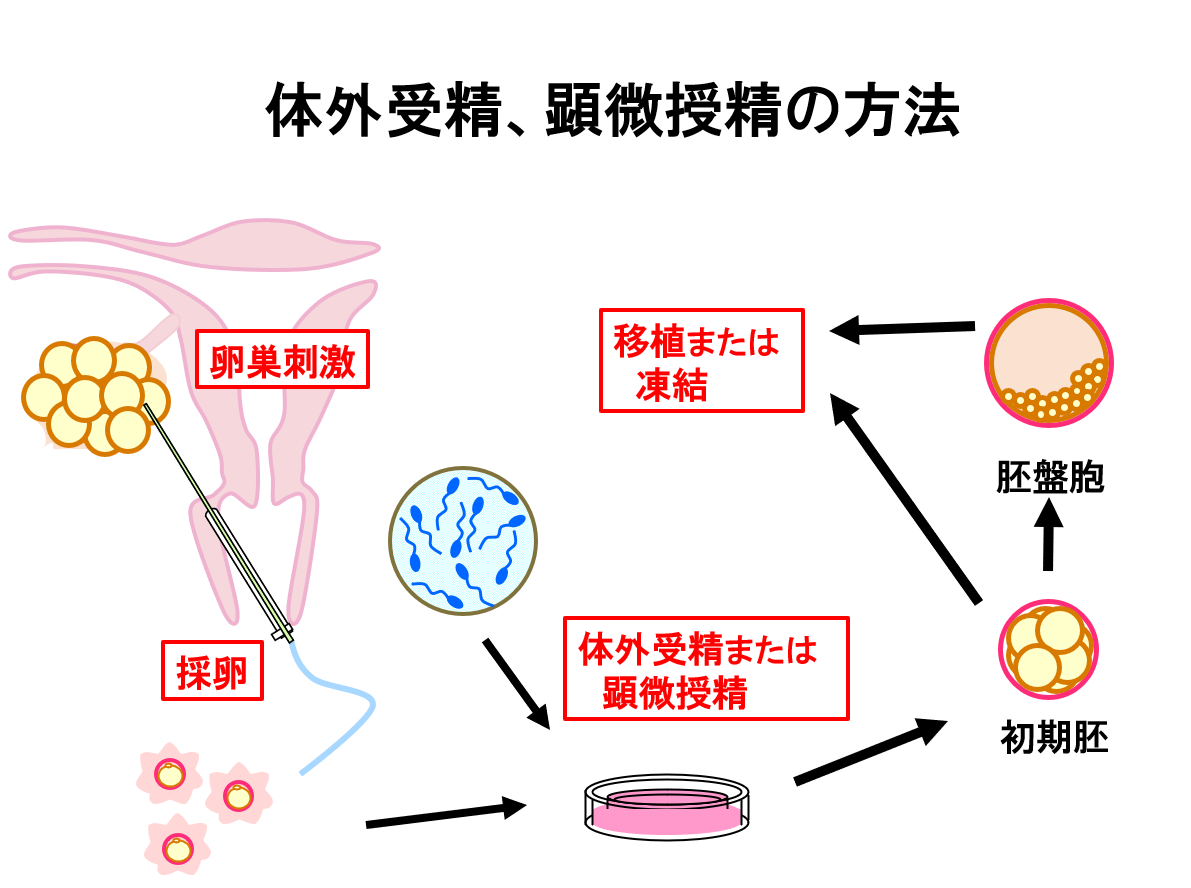 SnapCrab_NoName_2022-10-5_20-13-30_No-00