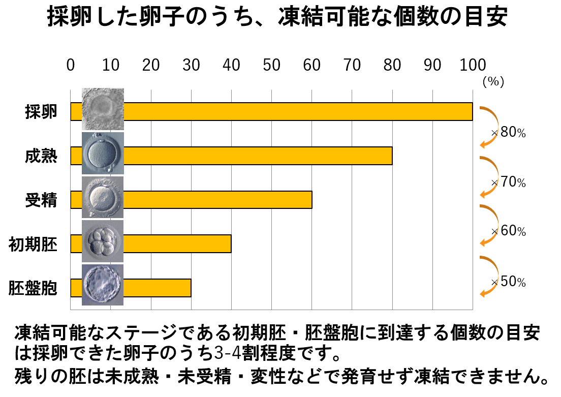 着床前遺伝学的検査（PGT-A /PGT-SR）